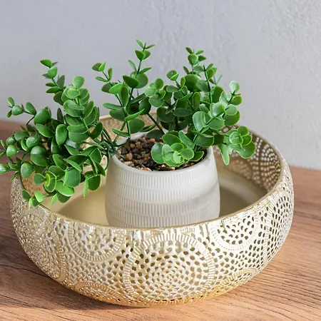 Ostoya Pucka By Renters Puck